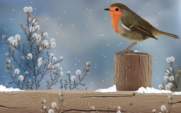 Animal Robin Birds Passerines Bird Fence Winter Tree Snow HD Wallpaper | Background Image