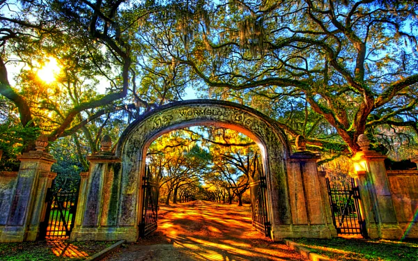 Sunny park scene with a man-made stone gateway arch surrounded by large trees, captured in vibrant HD detail for a desktop wallpaper and background.