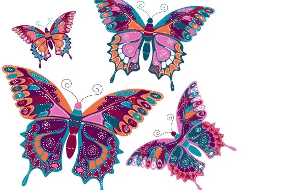 Artistic Butterfly Colors Colorful HD Wallpaper | Background Image