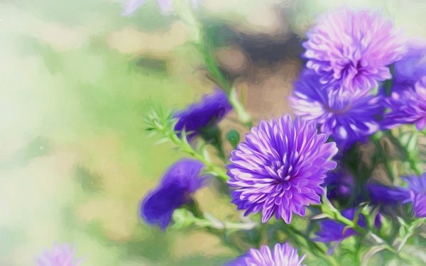 Earth Flower Flowers Purple Flower Nature Oil Painting Painting HD Wallpaper | Background Image
