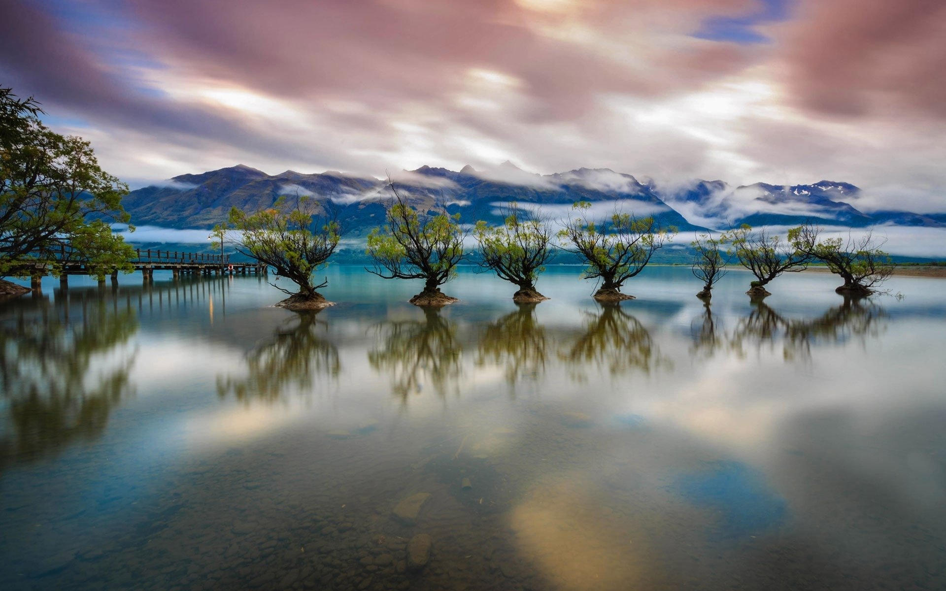 Serene view of tree reflections in Lake Wakatipu, New Zealand, with misty mountains and a dramatic sky, captured as a high-definition nature wallpaper.