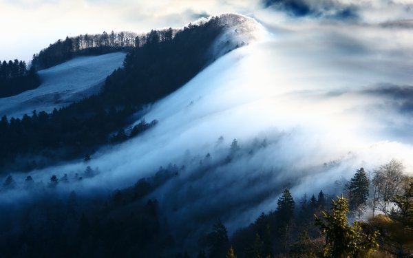 Earth Fog Winter Landscape Mountain Nature Forest HD Wallpaper | Background Image