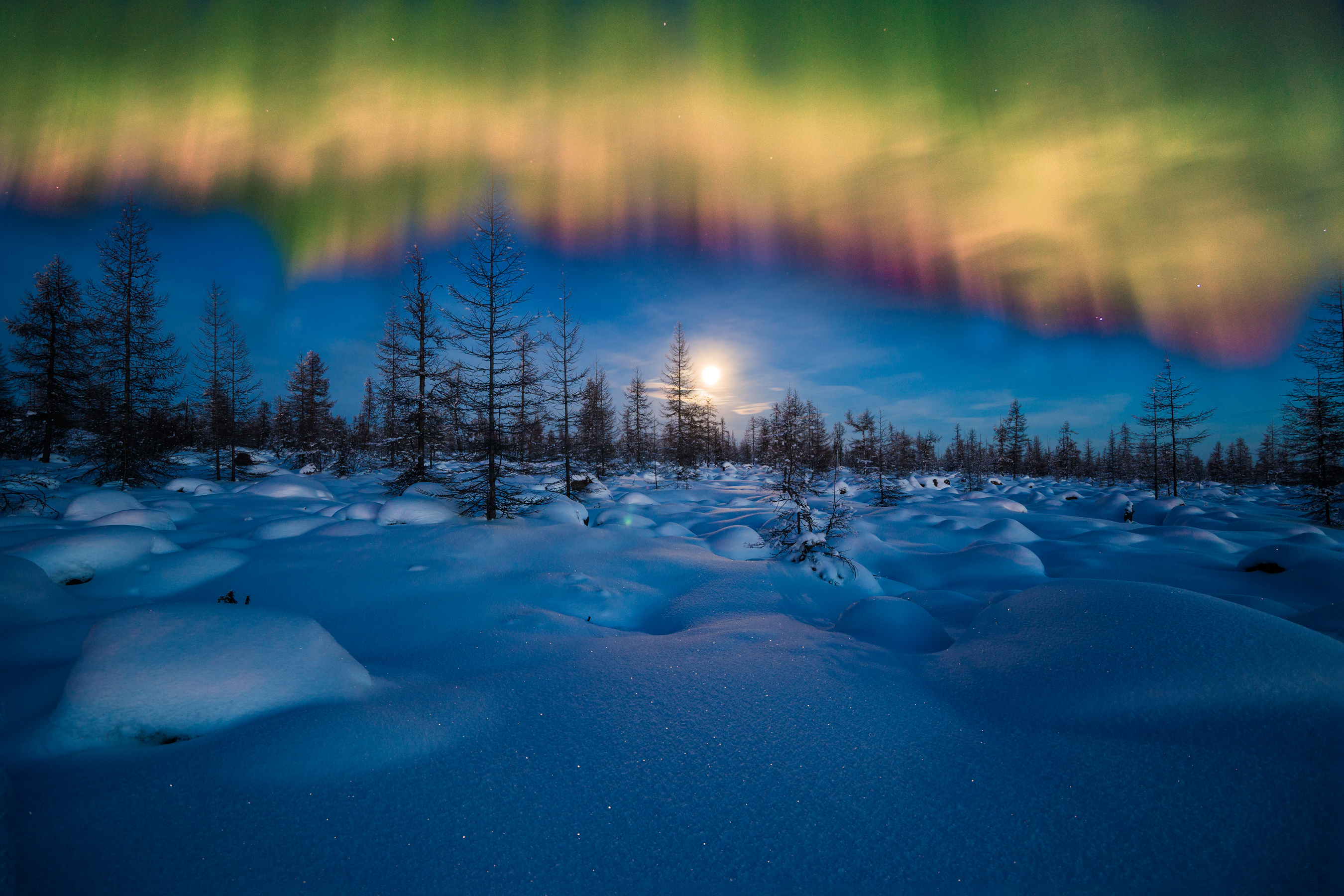 Nature Aurora Borealis HD Wallpaper