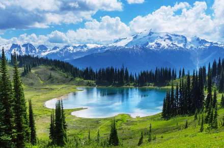 Moraine Lake in Banff National Park, Canada, showcases a vibrant forest and serene lake set against a backdrop of snow-capped mountains under a bright blue sky.