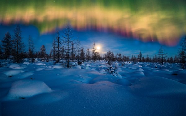 Nature Aurora Borealis Winter Snow Night Sky HD Wallpaper | Background Image