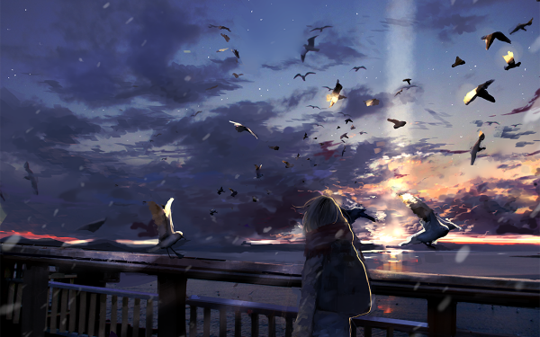 Anime Original Cloud Sky Bird Sunset HD Wallpaper | Background Image