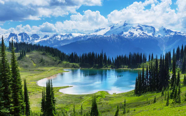 nature landscape forest lake banff national park Canada Moraine Lake HD Desktop Wallpaper | Background Image