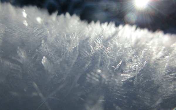 Nature Snowflake Winter Close-Up Snow Ice HD Wallpaper | Background Image