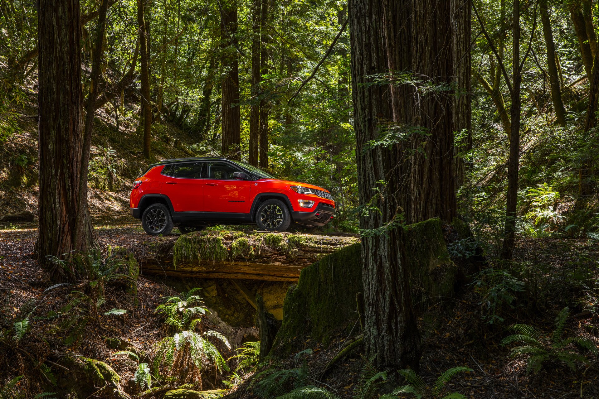 Download Fern SUV Forest Car Jeep Vehicle Jeep Trailhawk HD Wallpaper