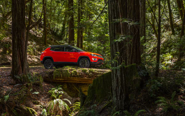 fern SUV forest car Jeep vehicle Jeep Trailhawk HD Desktop Wallpaper | Background Image