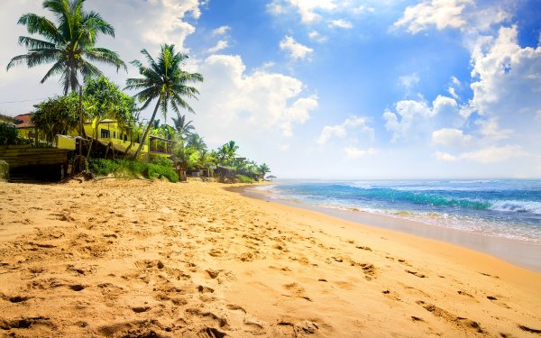 Fotografía Playa Sand Océano Sea Tropico Palmera Horizon Fondo de pantalla HD | Fondo de Escritorio