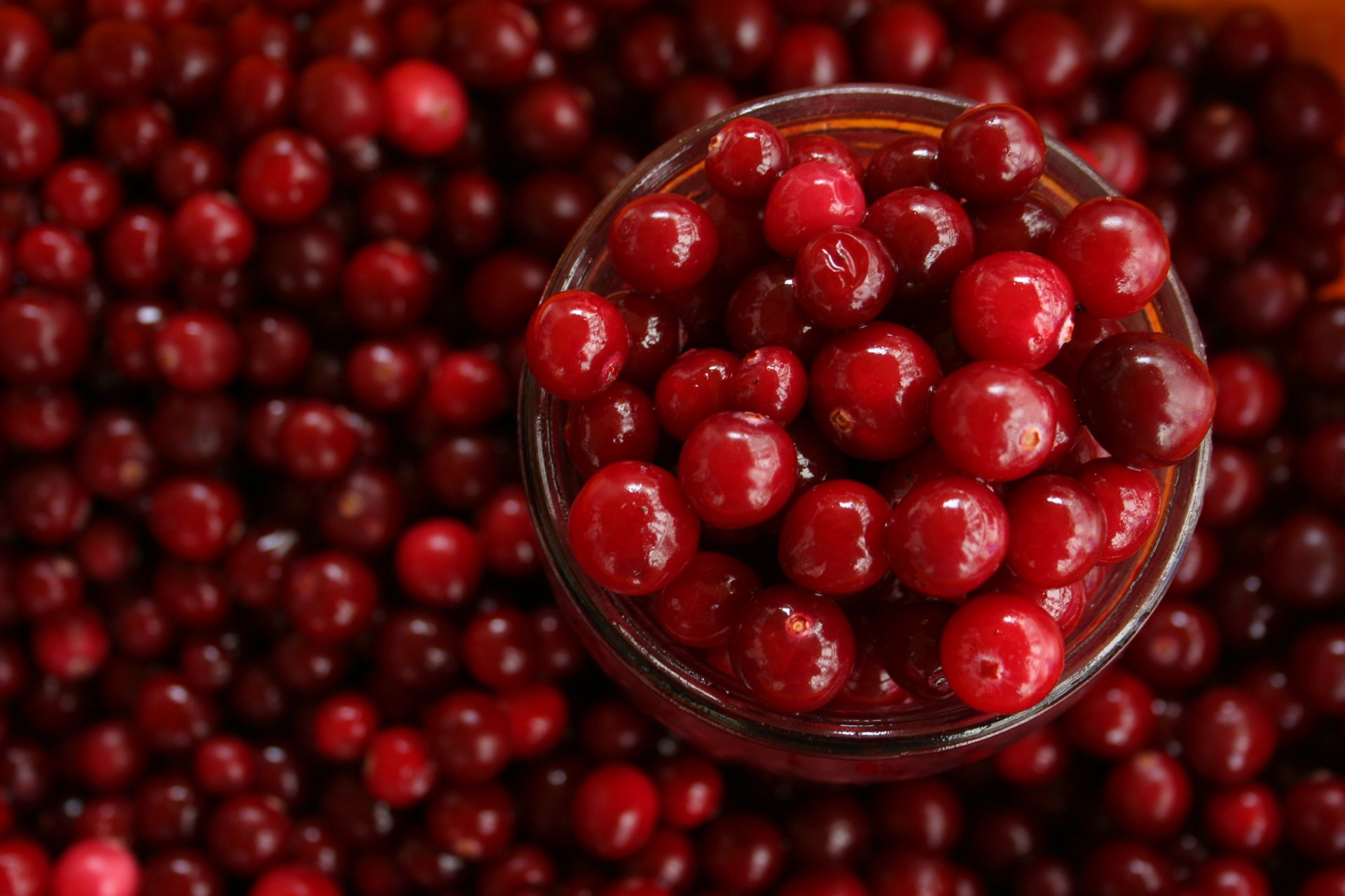 2K Quad HD PC desktop wallpaper: close-up of glossy red cranberries in a glass bowl on a bed of cranberries — food, cranberry.