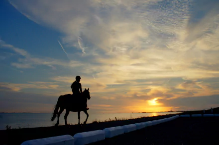  Girl Riding Her Horse at Sunset