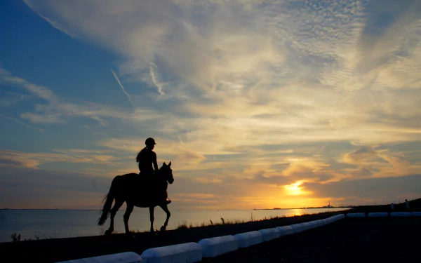  Girl Riding Her Horse at Sunset