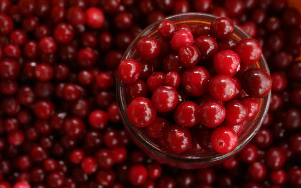 food cranberry HD Desktop Wallpaper | Background Image