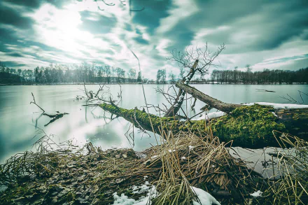 log winter nature lake HD Desktop Wallpaper | Background Image