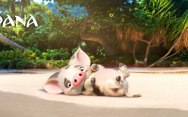 Movie Moana Pua Pig HD Wallpaper | Background Image