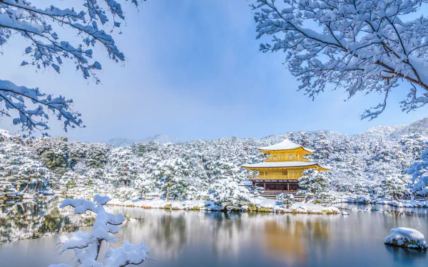 A serene winter park scene with snow-covered trees reflecting on a calm lake, highlighting a golden pagoda under a clear blue sky in 4K Ultra HD quality.