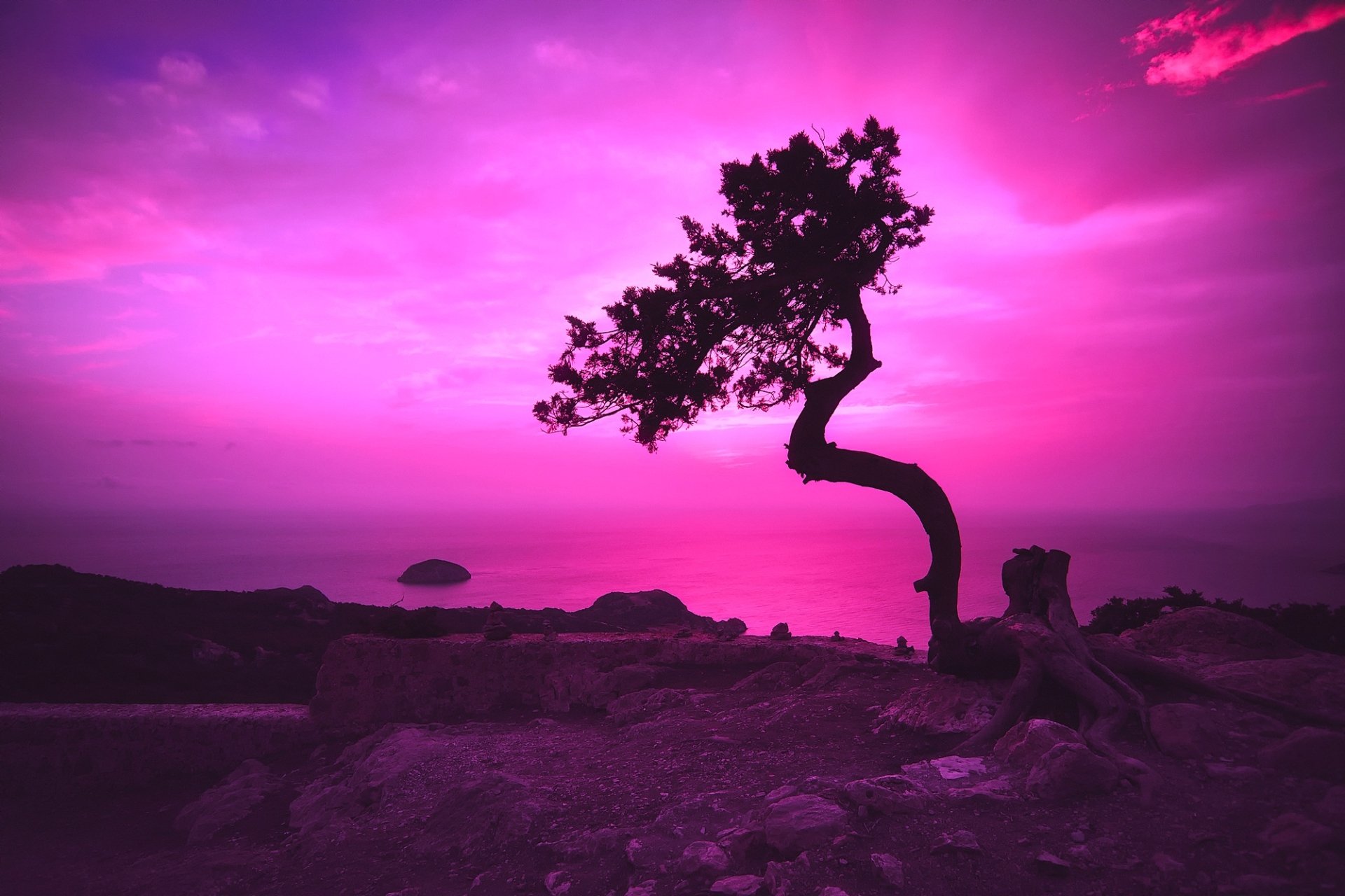 HD desktop wallpaper of a twisted tree silhouetted against a vibrant pink and purple dusk sky over a Greek landscape by the sea.