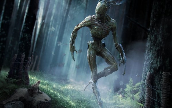 Dark Creature Forest Creepy HD Wallpaper | Background Image