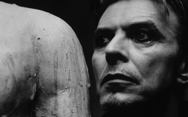 music David Bowie HD Desktop Wallpaper | Background Image