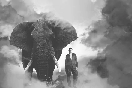 4K Ultra HD black and white desktop wallpaper featuring a surreal photographic manipulation of a man standing beside a large elephant emerging from smoke.