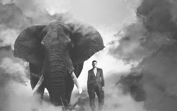 Photography Manipulation Model Smoke Elephant HD Wallpaper | Background Image