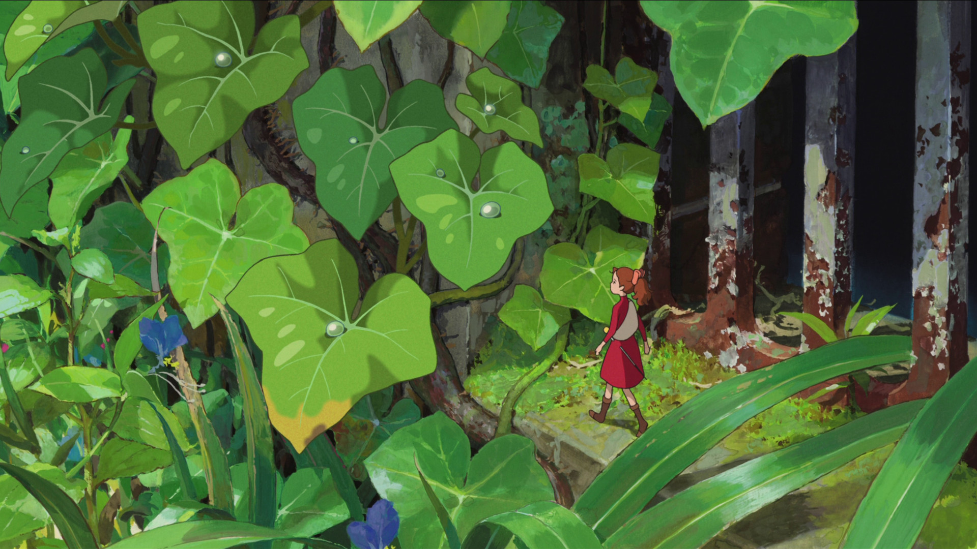Download Anime The Secret World Of Arrietty HD Wallpaper