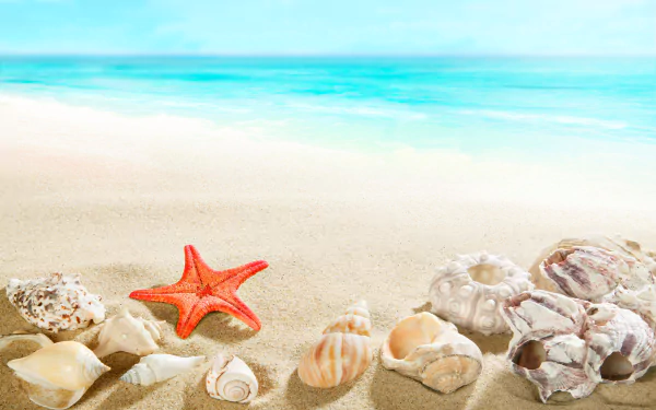A 4K Ultra HD beach scene with sand, shells, a starfish, and a calm ocean horizon under a bright sky.
