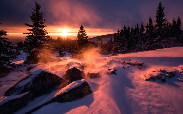 Earth Sunset Nature Winter Snow HD Wallpaper | Background Image