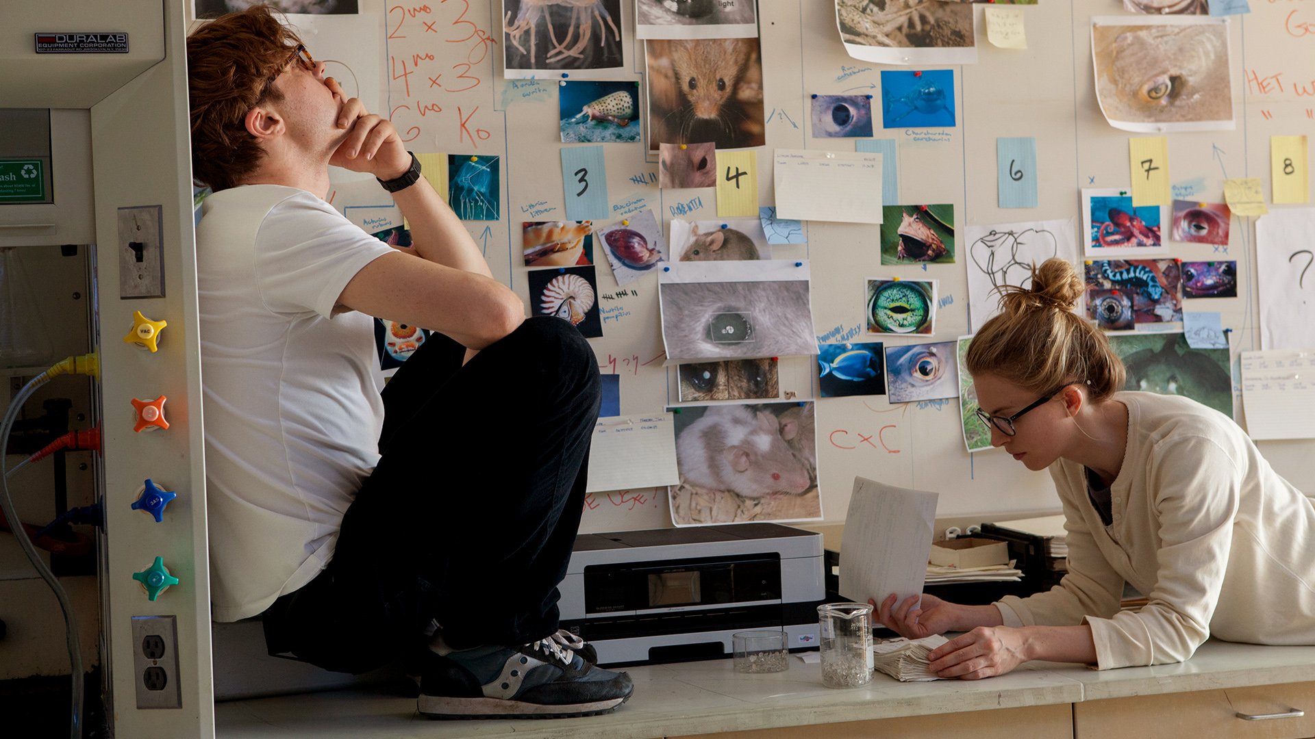 Download Movie I Origins HD Wallpaper