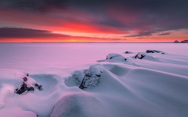 Nature Winter Horizon Sunset Snow HD Wallpaper | Background Image