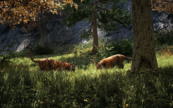 Video Game Far Cry 4 Far Cry Tiger HD Wallpaper | Background Image