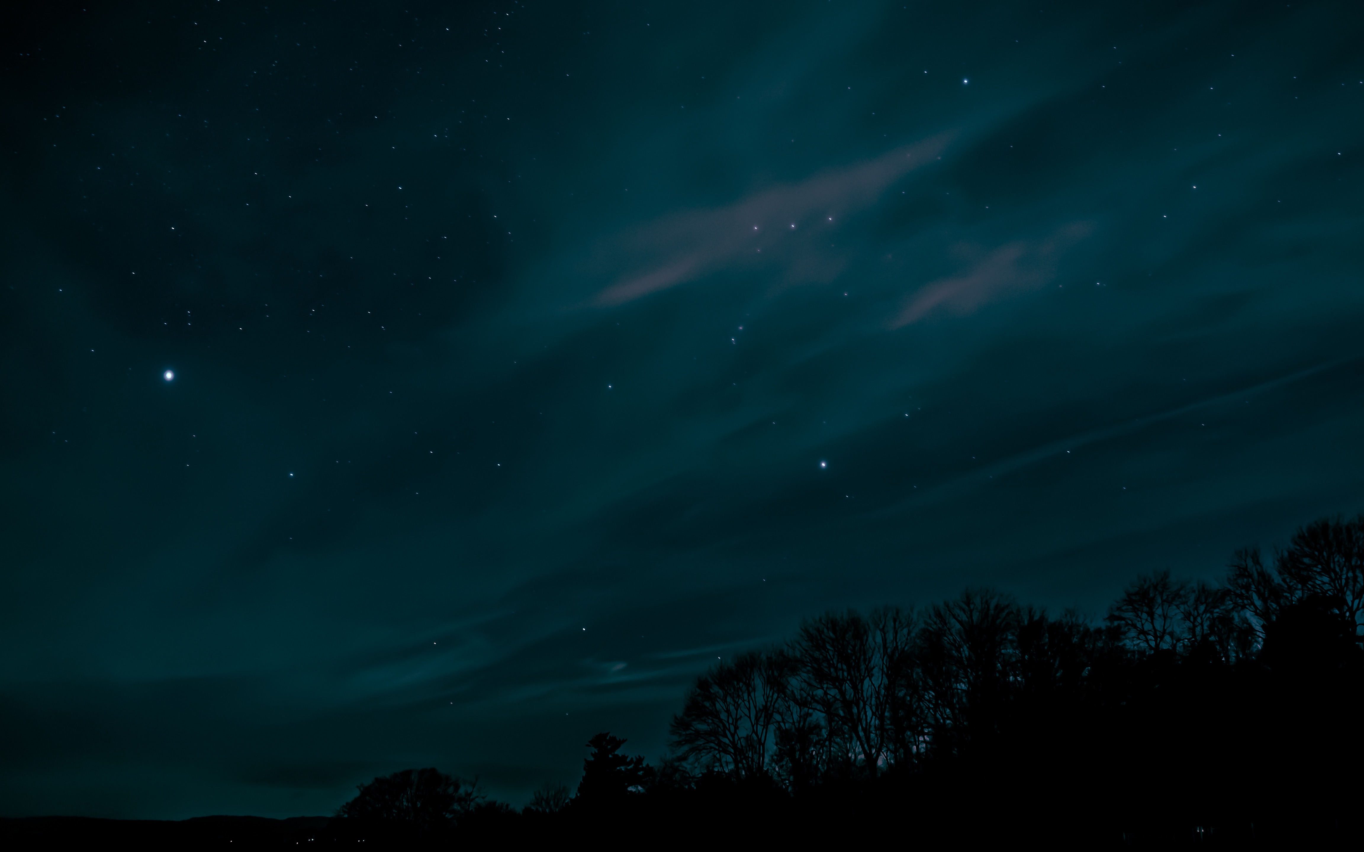 Starry sky in the forest, forest, stars, 1366x768, sky, HD wallpaper