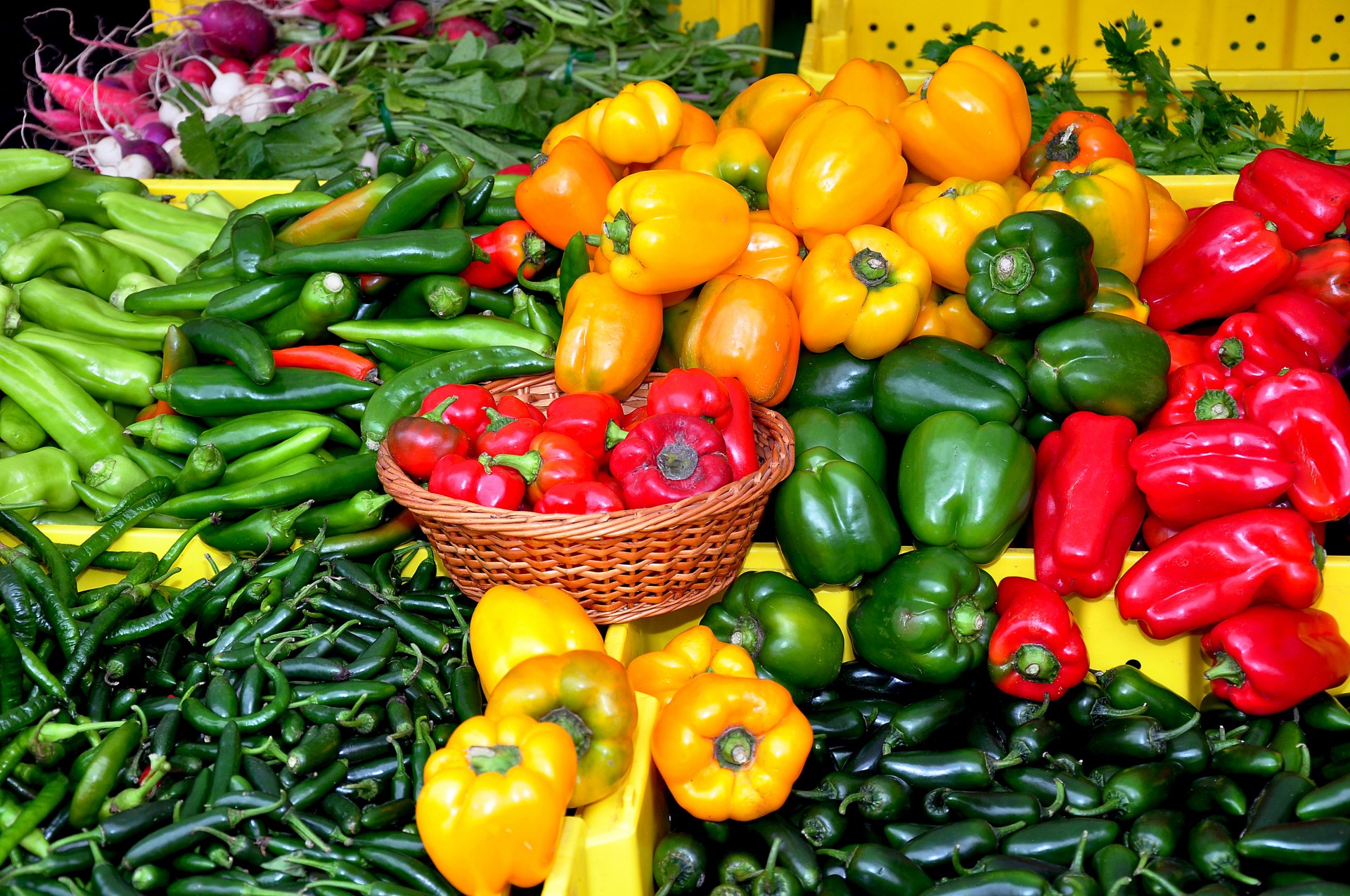 A vibrant display of various fresh peppers, including red, yellow, green, and orange varieties, arranged at a market stall in 4K Ultra HD quality.