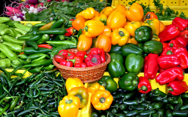 A vibrant display of various fresh peppers, including red, yellow, green, and orange varieties, arranged at a market stall in 4K Ultra HD quality.