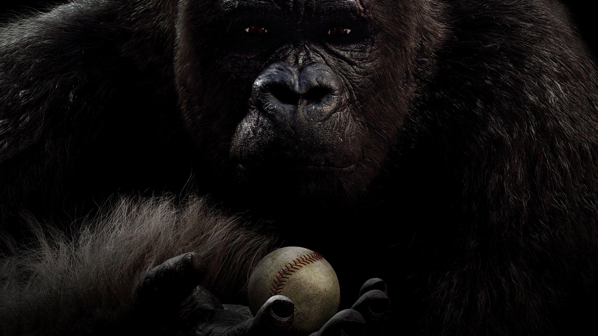Download Gorilla Movie Mr. Go HD Wallpaper