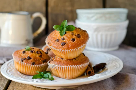  Chocolate Chip Muffins