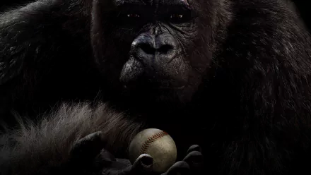 gorilla movie Mr. Go HD Desktop Wallpaper | Background Image