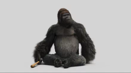 gorilla movie Mr. Go HD Desktop Wallpaper | Background Image
