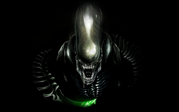 Alien Xenomorph Wallpaper 4k