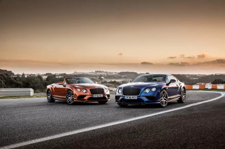 A striking image of two Bentley Continental GT cars, one orange and one blue, showcased on a winding road at sunset, highlighting their sleek design and luxurious appeal.