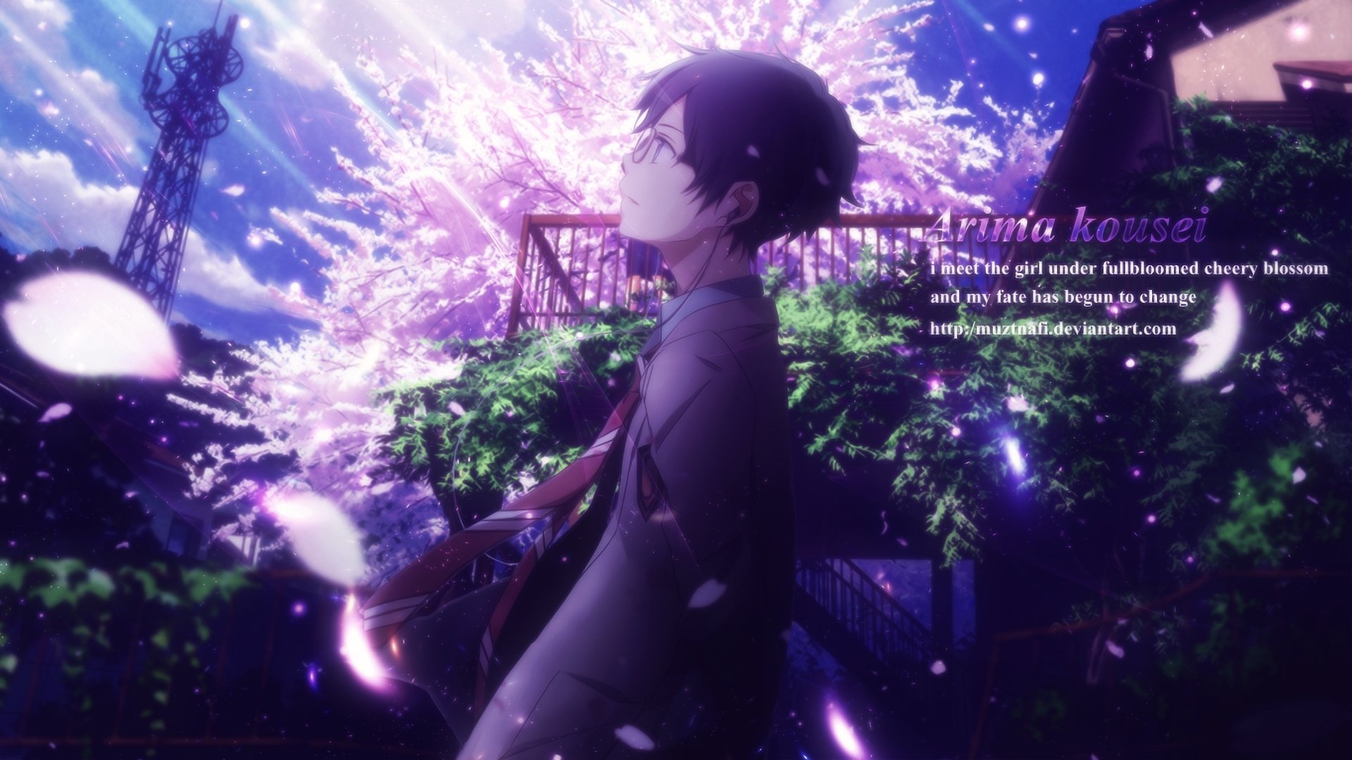 HD PC desktop wallpaper featuring Kousei Arima from the anime Your Lie in April, set against a vivid backdrop of blooming cherry blossoms and a serene night sky.