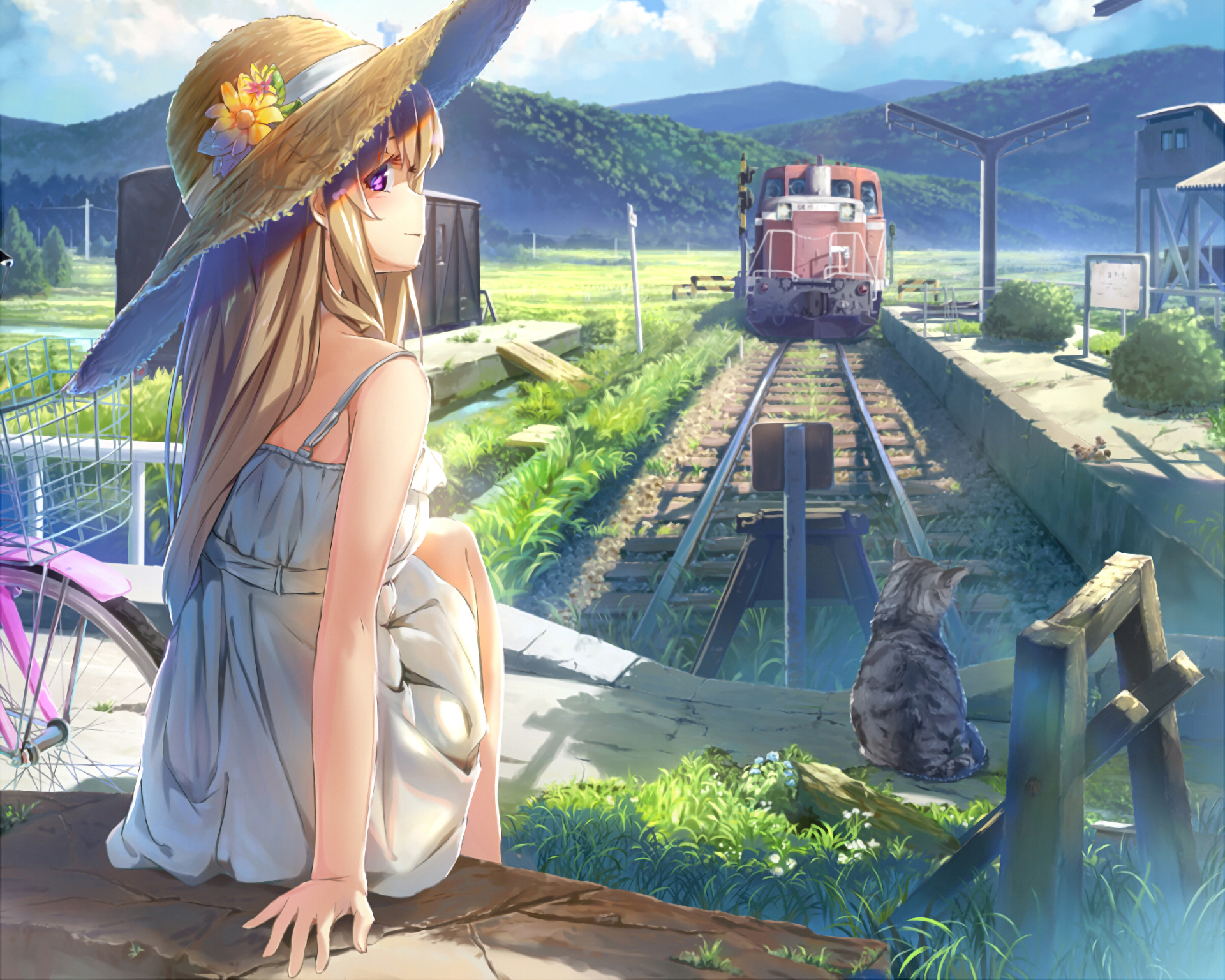 HD anime wallpaper featuring an original scene of a girl in a white dress sitting near train tracks with a cat, a train in the background, and a serene countryside setting.