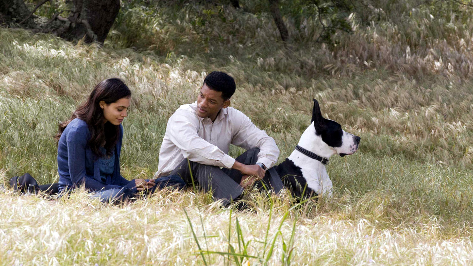 Movie Seven Pounds HD Wallpaper | Background Image