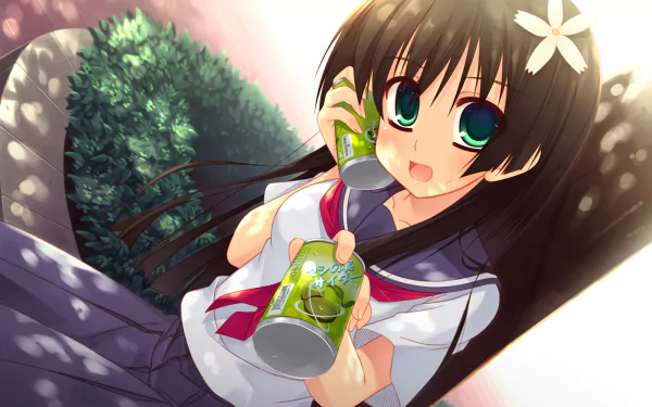 Ruiko Saten Anime A Certain Scientific Railgun HD Desktop Wallpaper | Background Image