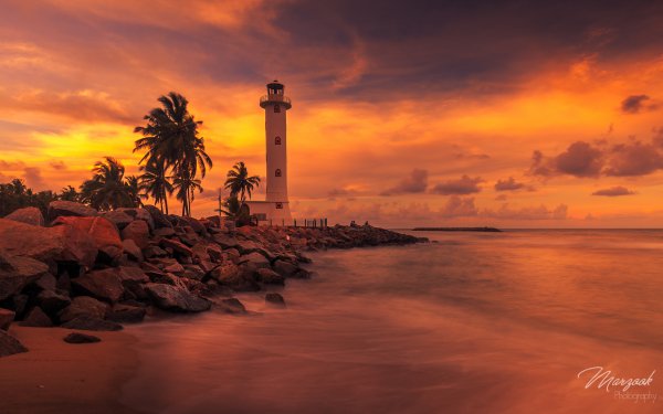 Man Made Lighthouse Sunset Ocean Sea Palm Tree Tropical Horizon HD Wallpaper | Background Image
