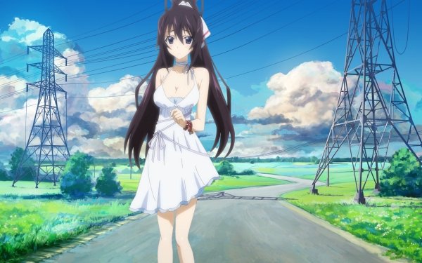 Anime Infinite Stratos Houki Shinonono HD Wallpaper | Background Image