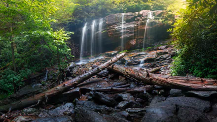 HD desktop wallpaper featuring a serene nature scene with a waterfall cascading over rocks into a stream, surrounded by lush greenery and fallen logs.