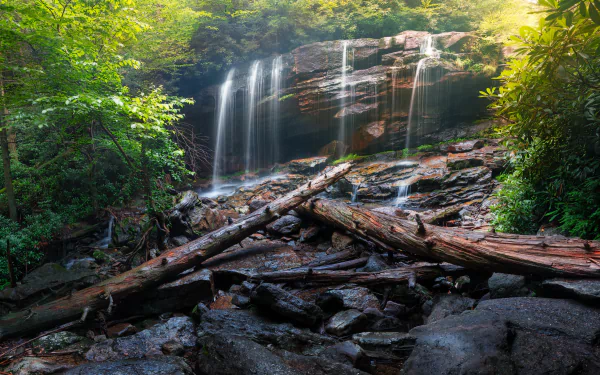 HD desktop wallpaper featuring a serene nature scene with a waterfall cascading over rocks into a stream, surrounded by lush greenery and fallen logs.